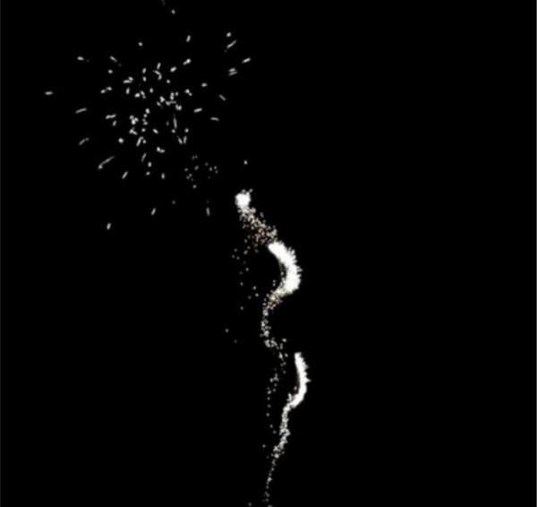 Feuerwerk Midnight Snow von Pyrotrade online kaufen im Feuerwerkshop Funkelfun