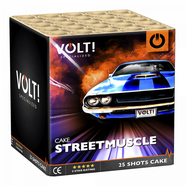 Streetmuscle