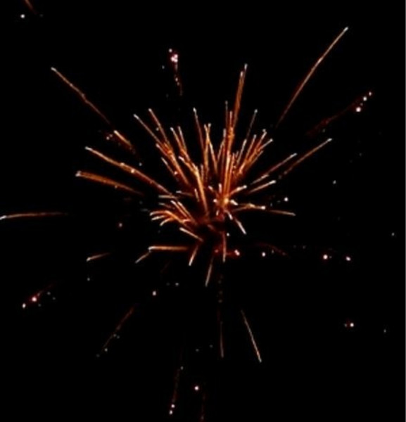 Feuerwerk Red Strobing Willow von Pyrotrade online kaufen im Feuerwerkshop Funkelfun