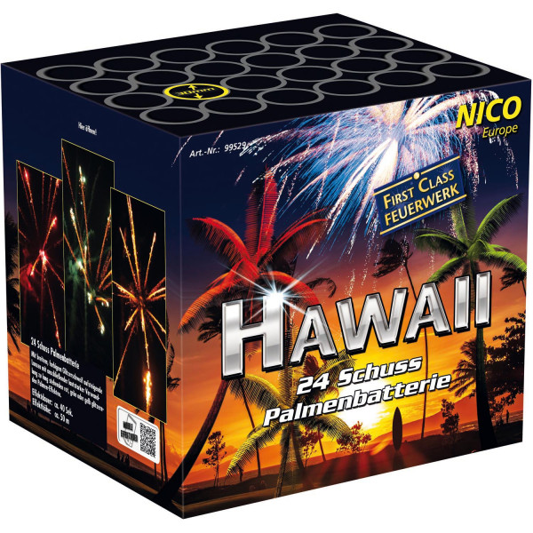 Batteriefeuerwerk Hawaii (99529) von Nico mit 24-Schuss, 40 Sekunden Laufzeit und 431 Gramm NEM der Kategorie F2 online kaufen und bestellen im Feuerwerk-Shop Funkelfun. Günstiger Feuerwerkshop für Silvester. Hier Angebot sichern!