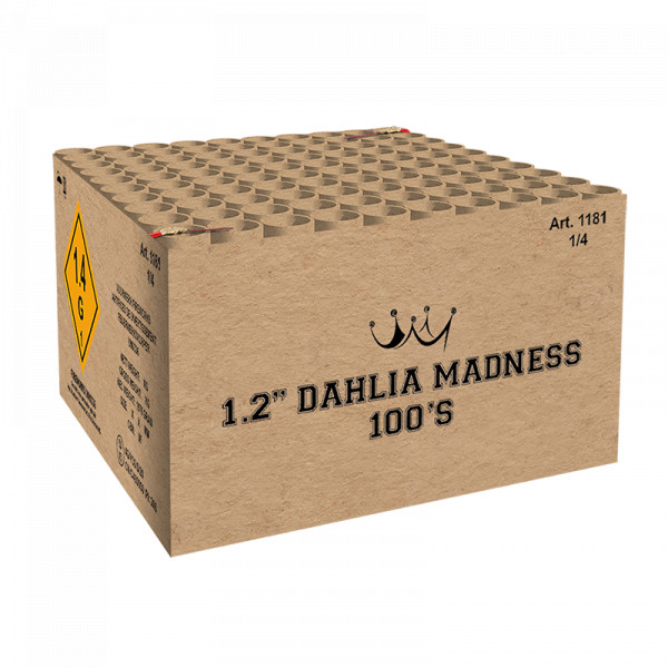 1.2" Dahlia Madness 100´S